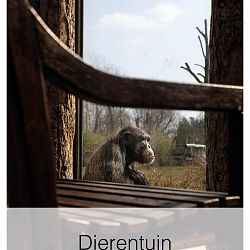 Dierentuin-1662995350.jpg