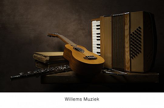 Web_Willems Muziek.jpg